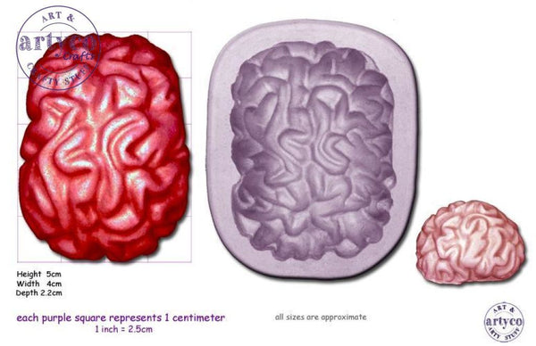 Brain Medium Silicone Mold