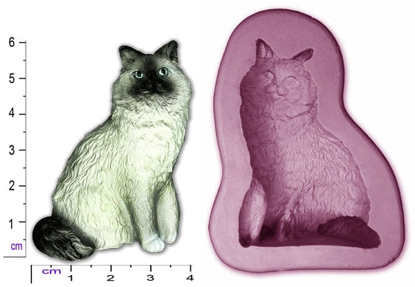 CATS & KITTENS Cat #1, 2, 3, cat standing, Sleepy Cat, Sleepy Kitten