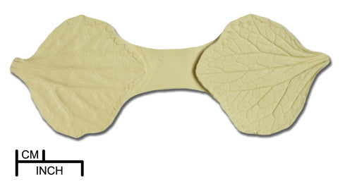 Cineraria Leaf Veiner