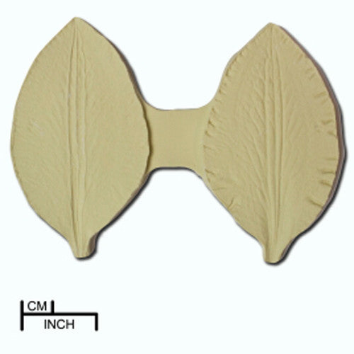 Clematis Petal Veiner