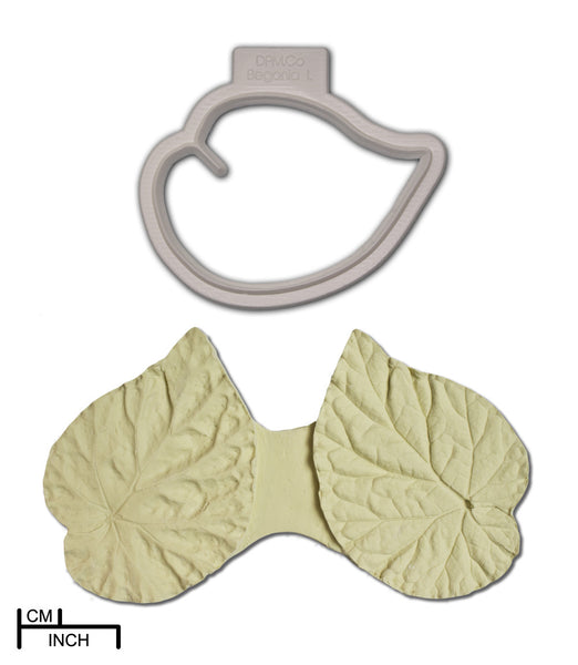 Begonia Leaf