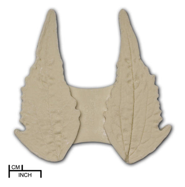 Echinacea leaf