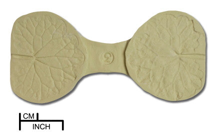 False Ivy Leaf Veiner