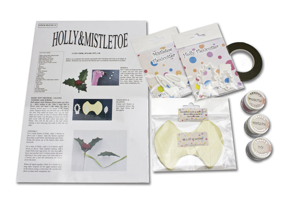 Holly and Mistletoe Kit