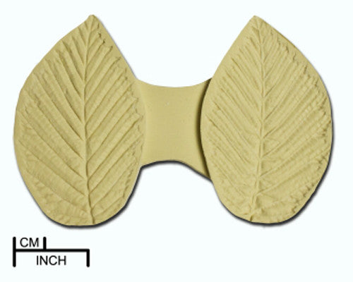 Beech Leaf