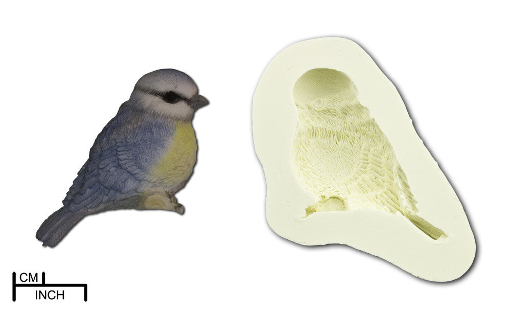 Blue Tit