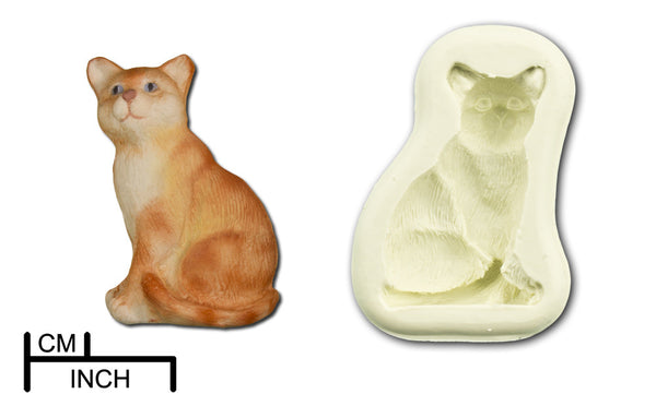 Cat, Sitting