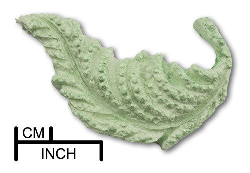 Jewelled Leaf