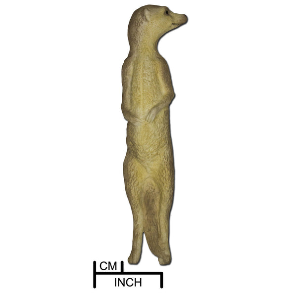 Meerkat, Standing