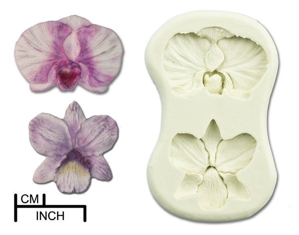 Orchid, Small