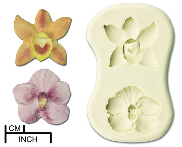 Orchid, Small
